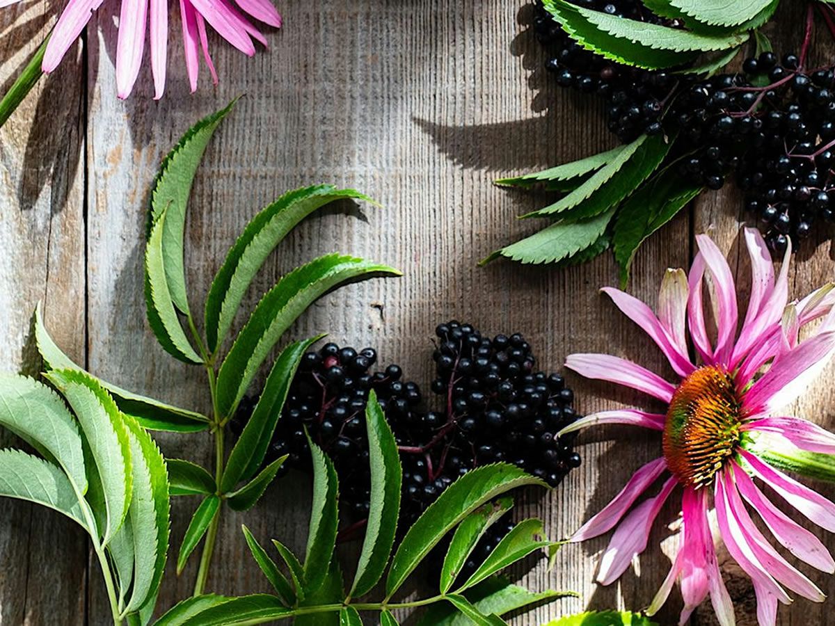 Herbal Immune Support