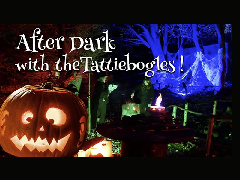After Dark with the Tattiebogles