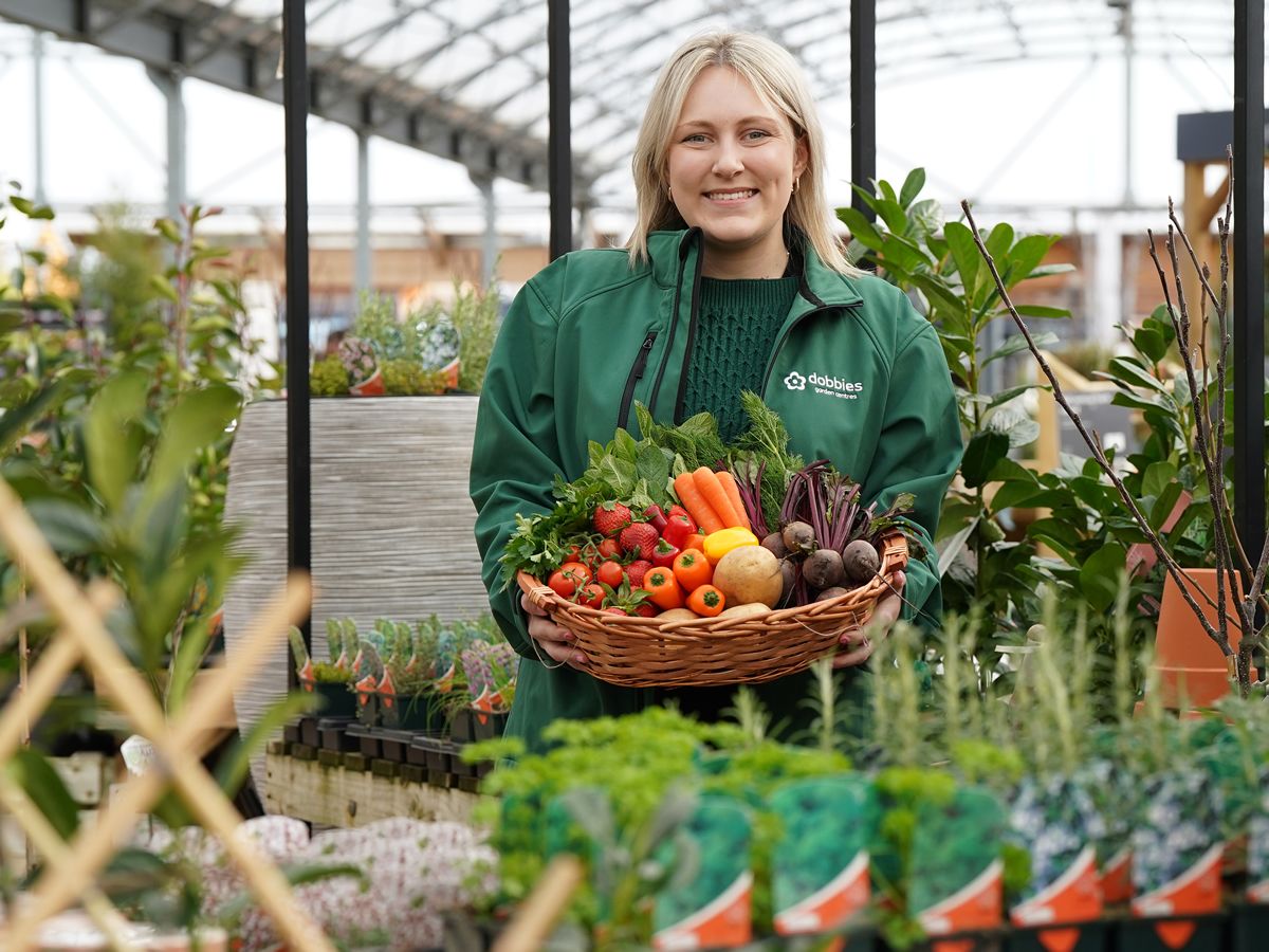 National Vegetable Society Championships