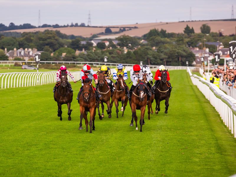 One last summer hurrah at Musselburgh Racecourse