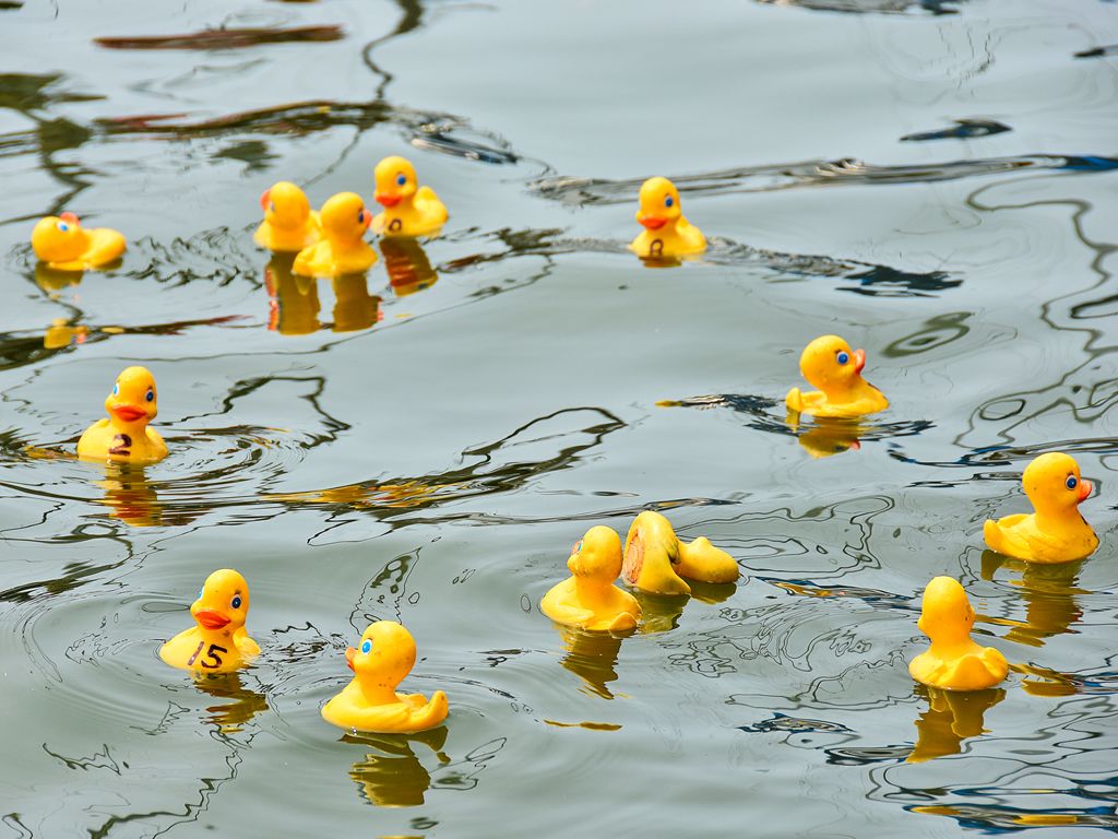New Lanark Charity Duck Race