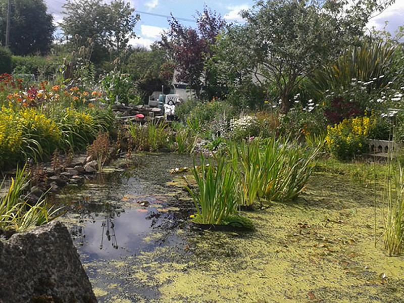 Scotland’s Gardens Scheme Open Garden Craig Hepburn Memorial Garden at