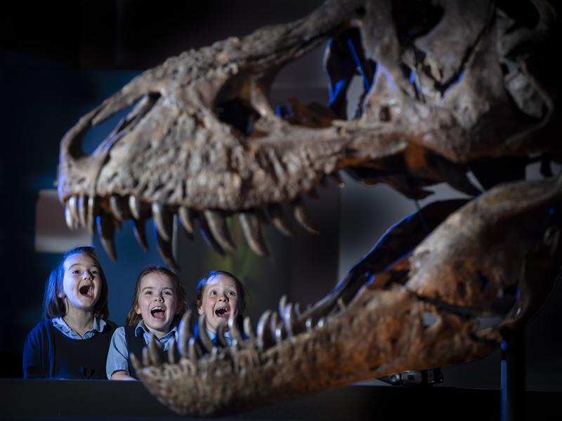 Trix the T. rex is ready for her big Glasgow reveal