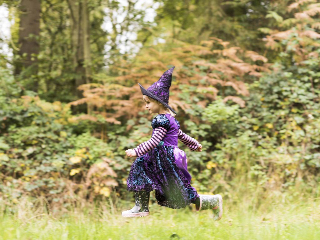 Creepy Creatures Trail at RSPB Loch Lomond