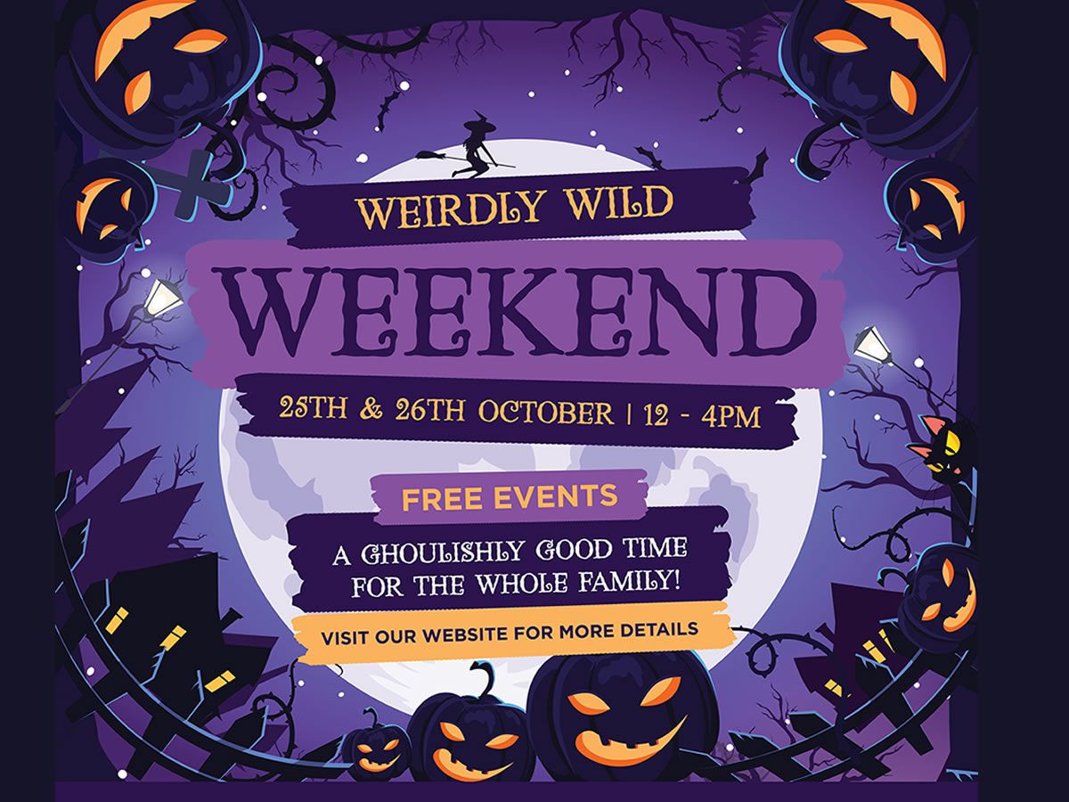 Weirdly Wild Weekend