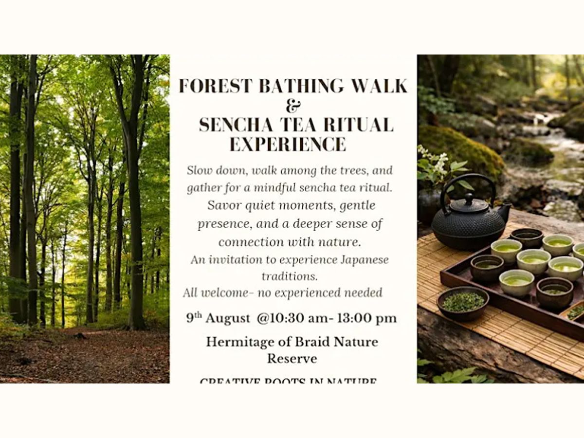 Forest Bathing Walk & Sencha Tea Ritual Experience
