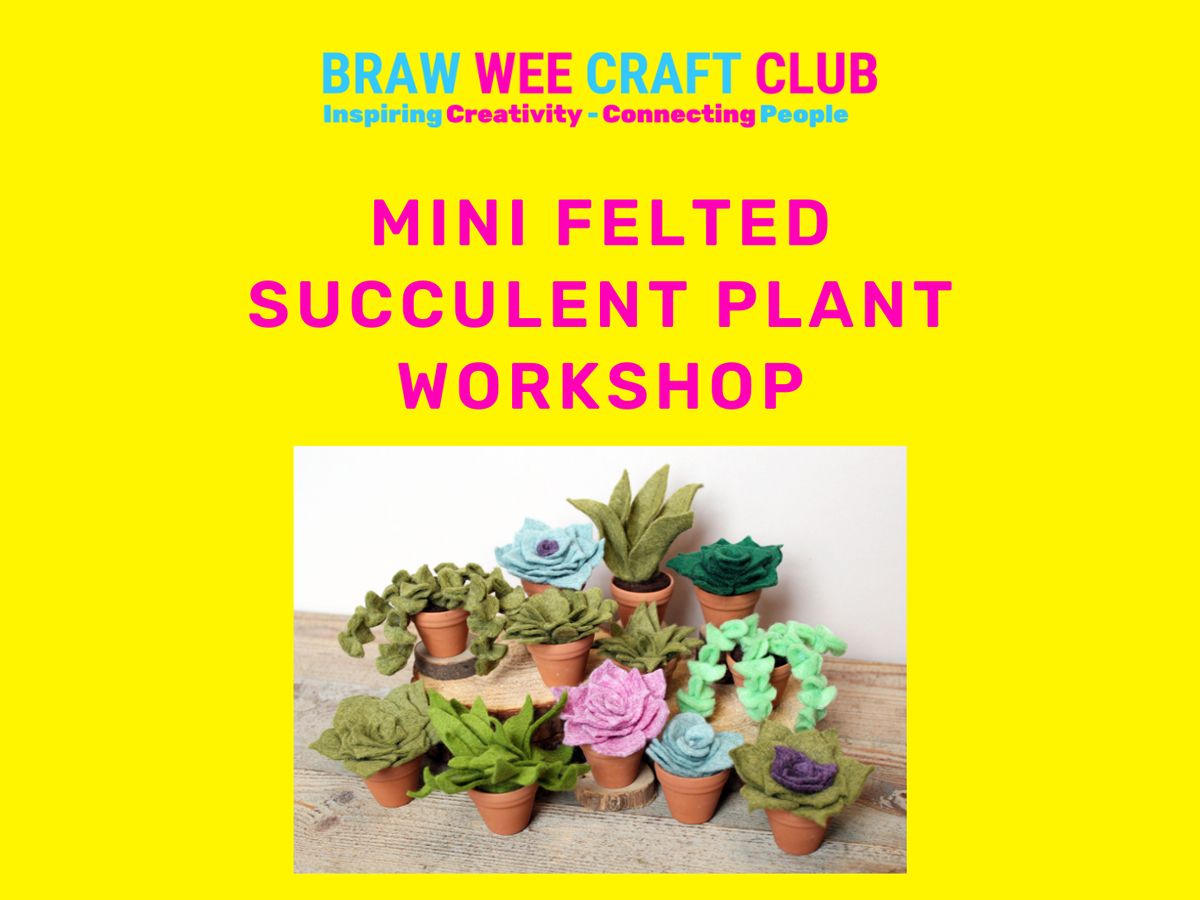 Mini Felted Succulent Plant Workshop
