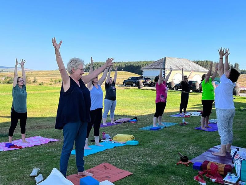 Community Wellness Day: Music, Yoga, Mindfulness, Health Talks