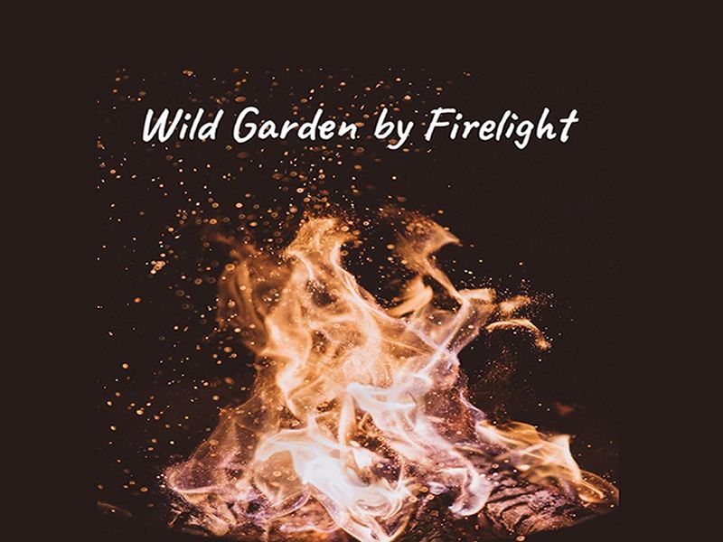 Wild Garden by Firelight