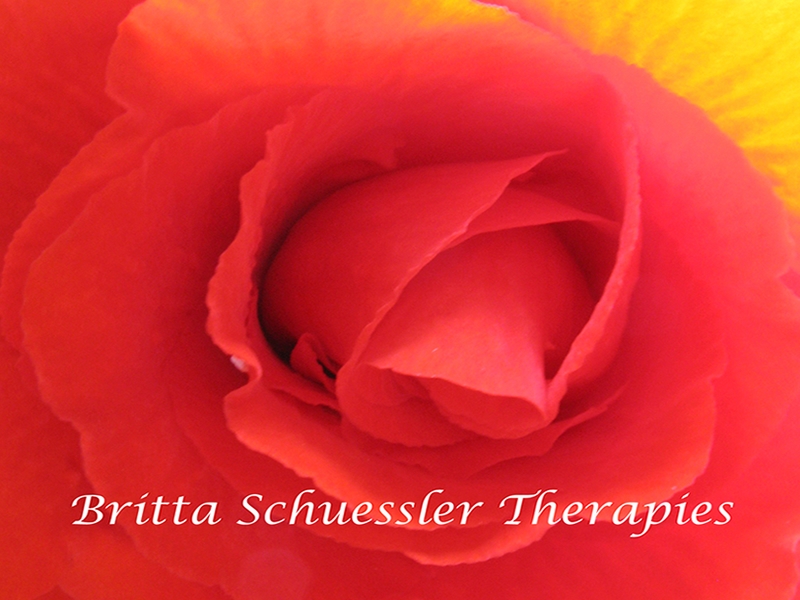 Britta Schuessler Therapies