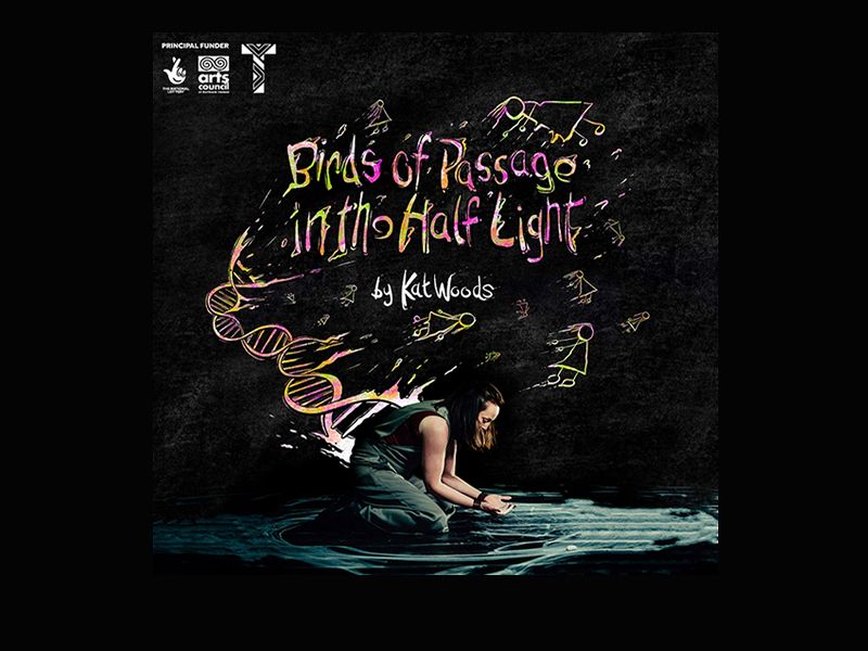 Birds of Passage in the Half Light by Kat Woods