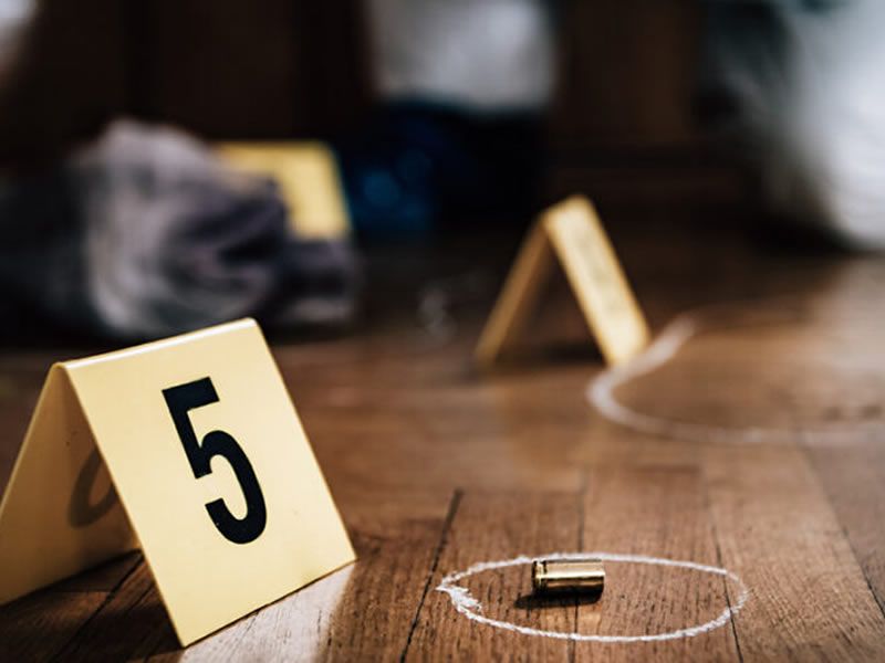 Curious Can You Be A Forensic Scientist At The Royal Society Of curious-can-you-be-a-forensic-scientist-at-the-royal-society-of