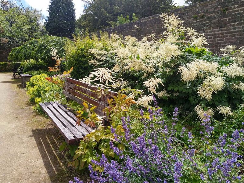 Scotland’s Gardens Scheme Open Garden: King’s Park Walled Garden