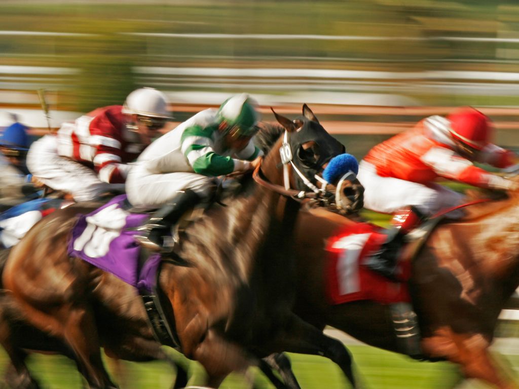 Race Night For Marie Curie