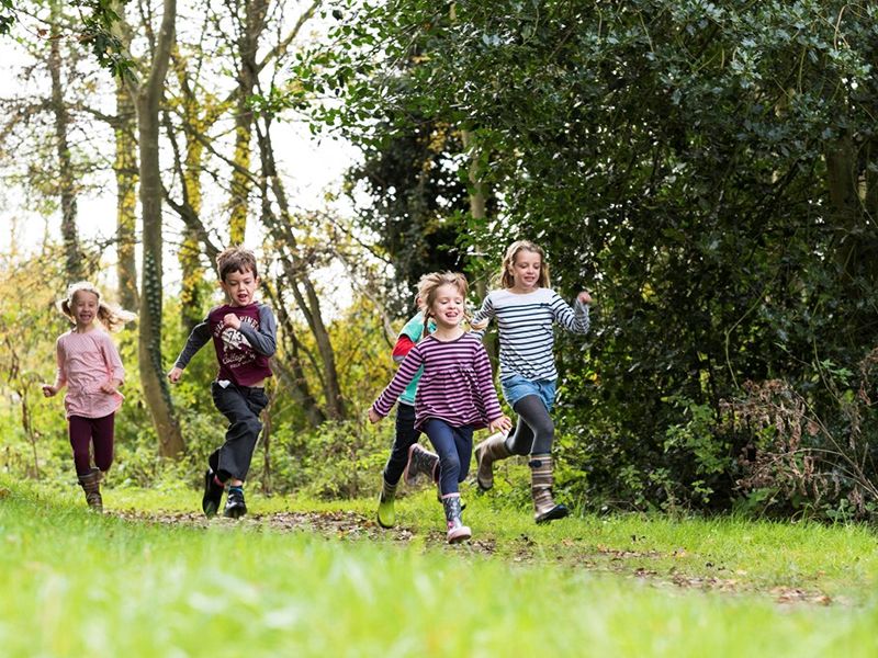 Summer Holiday Nature Club