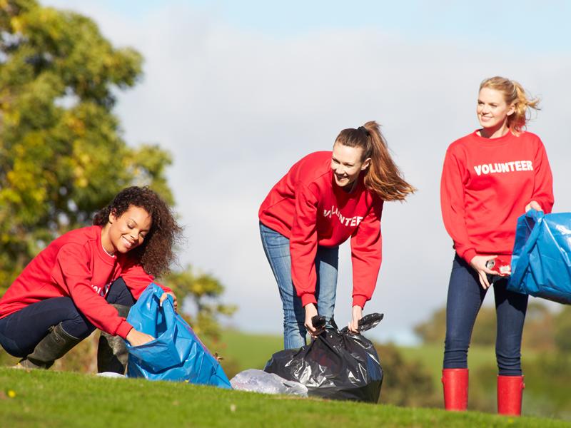 Volunteer Action Day: Woodland Clean-up and Pizza