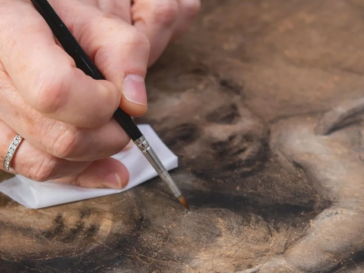 Conservator Talk: Conserving the Campi Cartoon