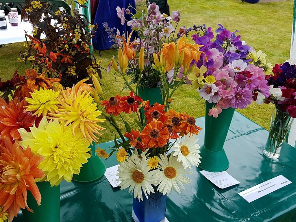 Mearns Horticultural Society