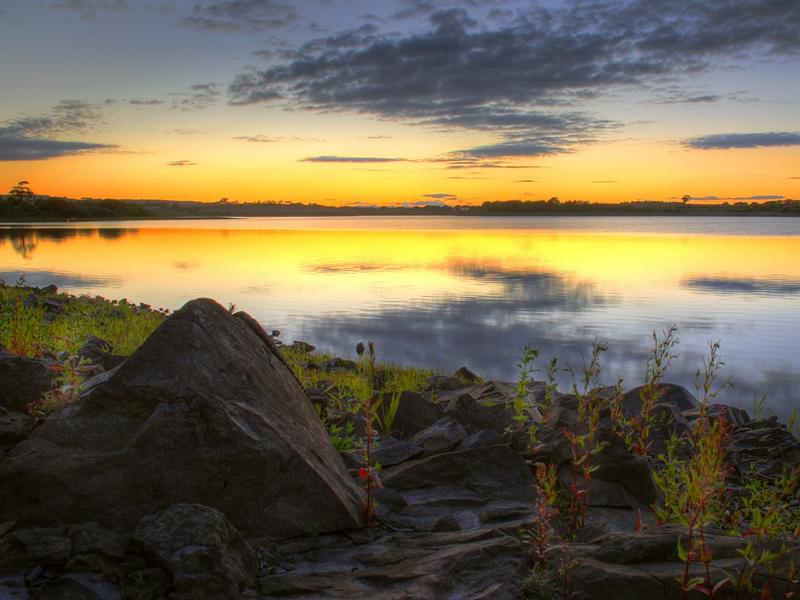 Residents urged to be aware of blue green algae dangers