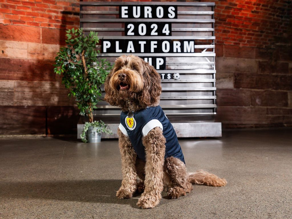 Platform predicts EUROs winners with PUPtastic mascot and fan zone