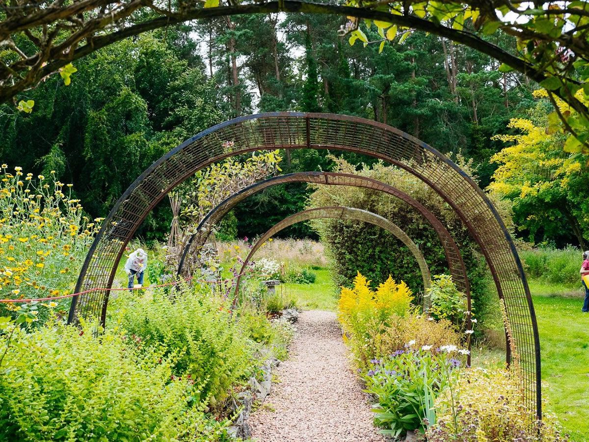Carbon Gardening