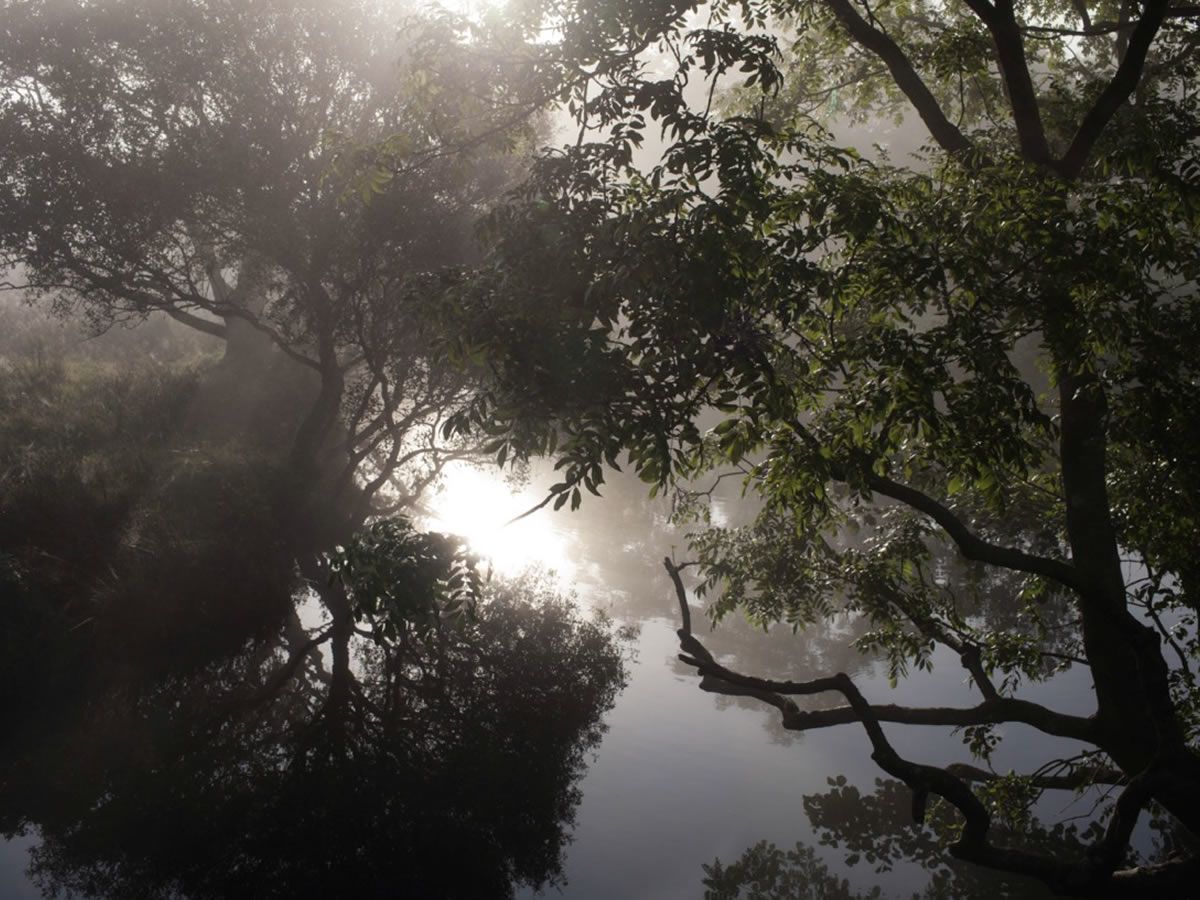 A Space for Hope: An interactive installation on climate hope