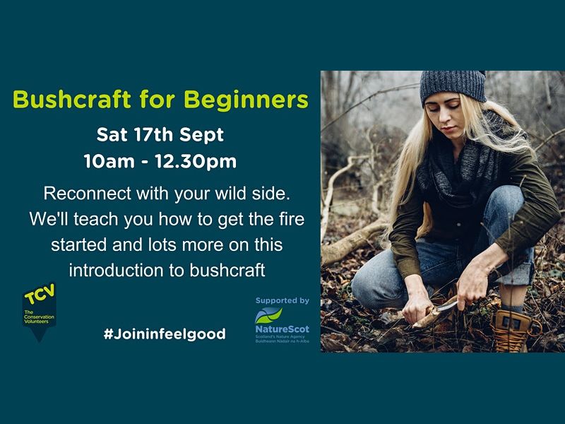 Bushcraft for Beginners