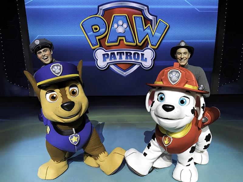 Paw Patrol Live