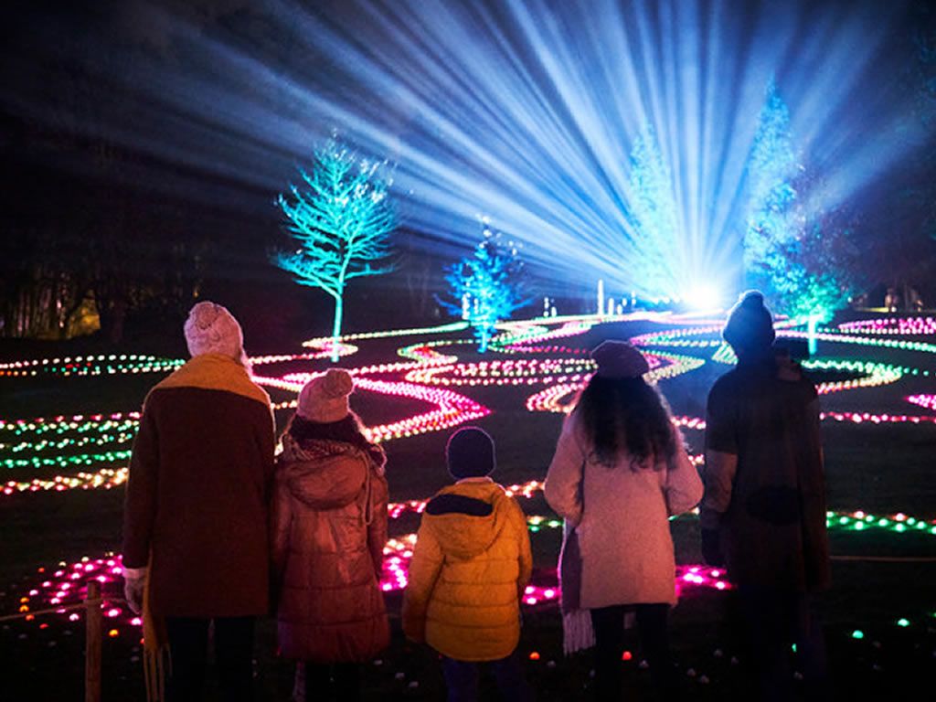 Christmas at the Botanics