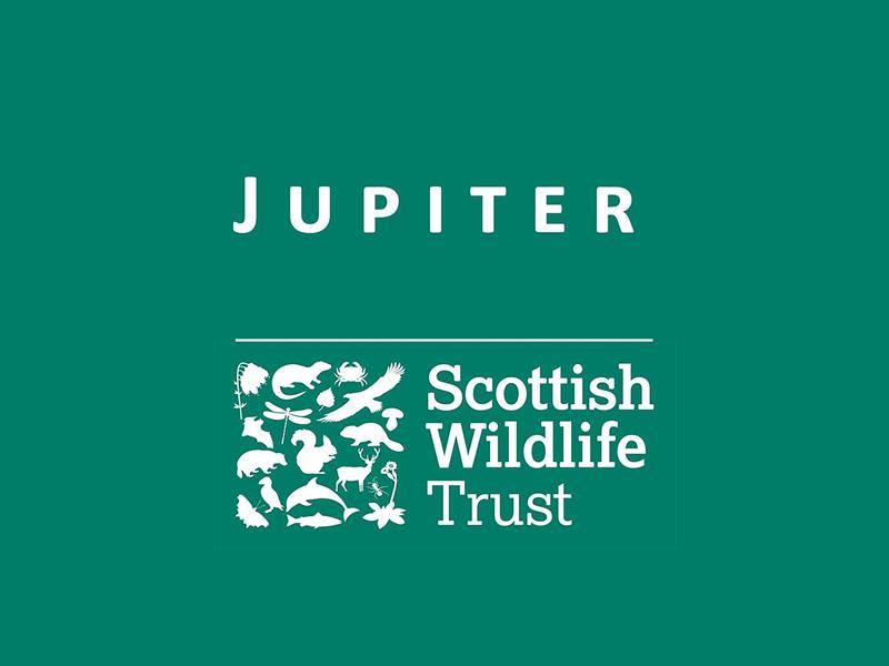 Jupiter Urban Wildlife Centre