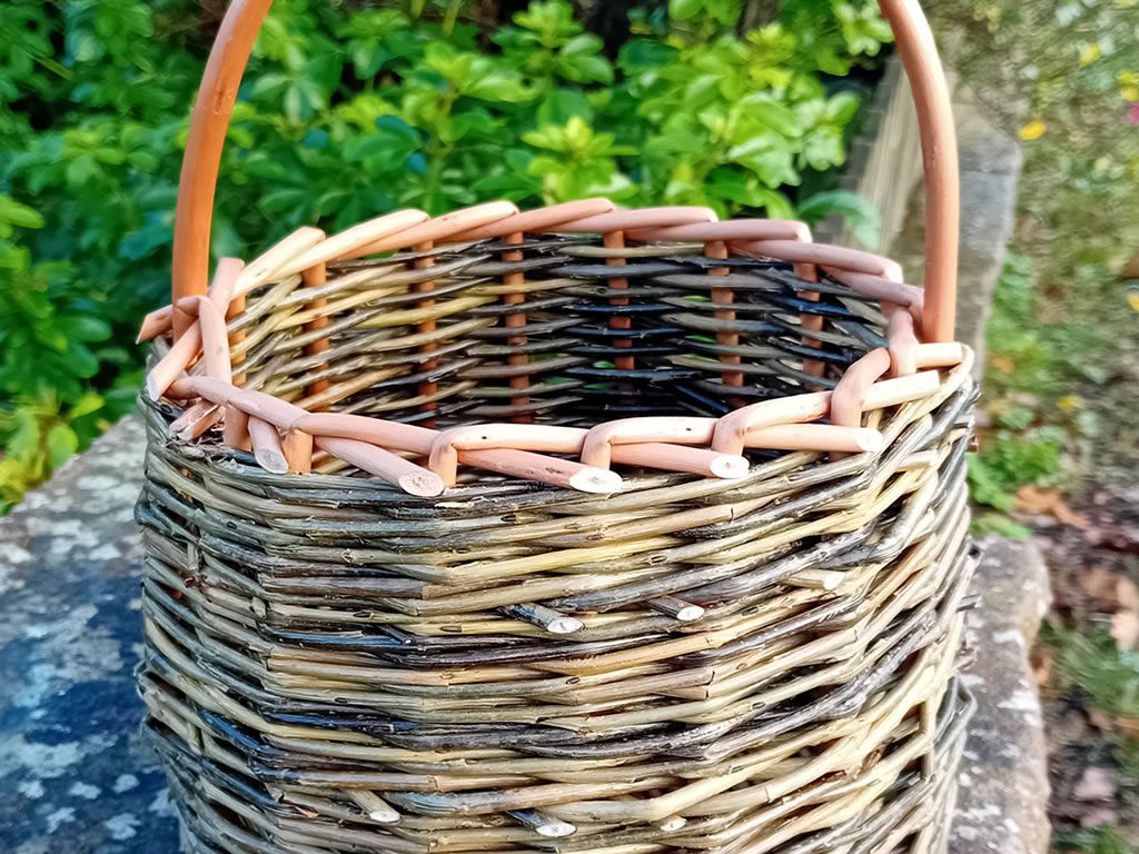 Basket Weaving for Beginners Workshop