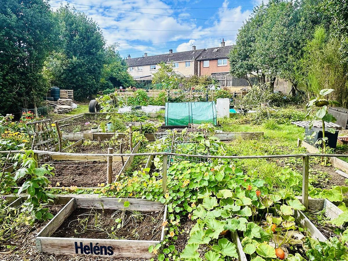 Allotment Open Day