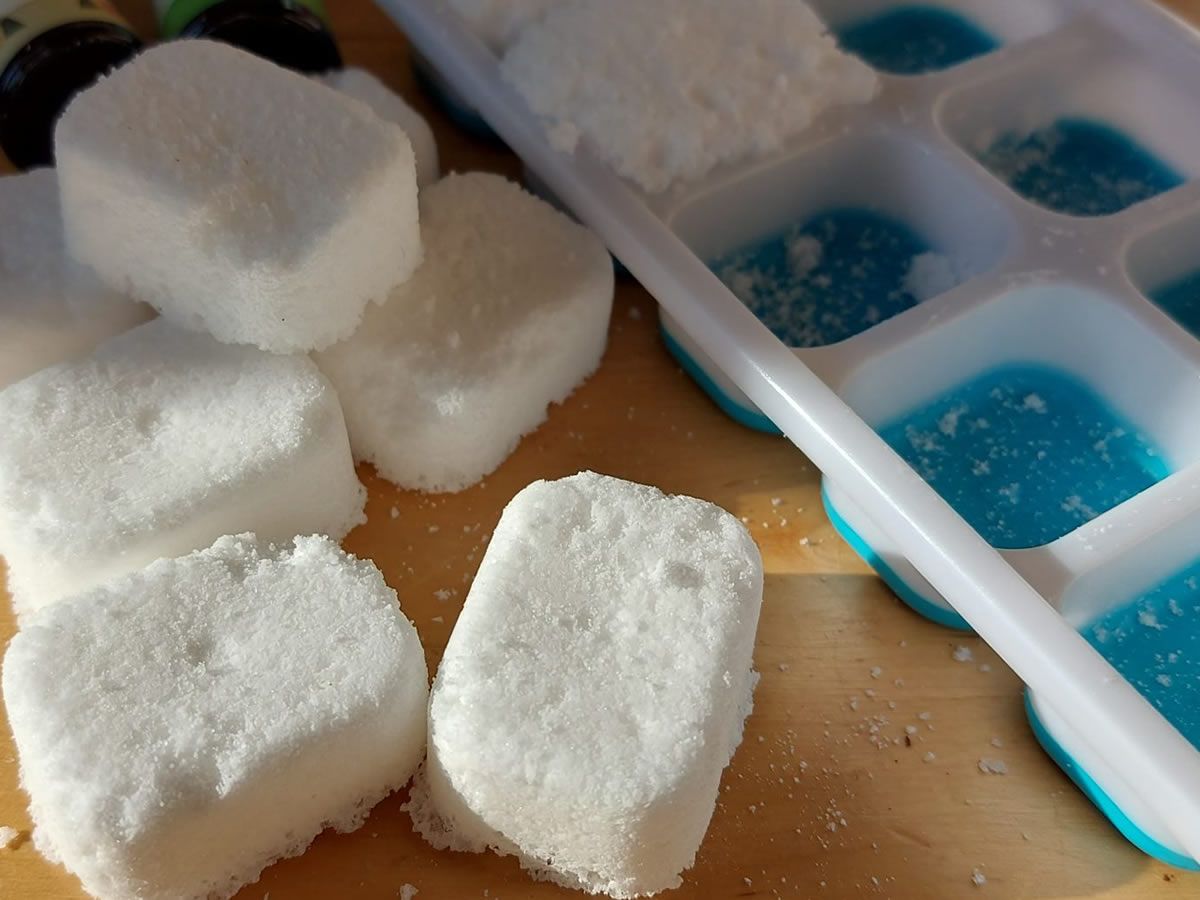 Eco Home Fizz Workshop