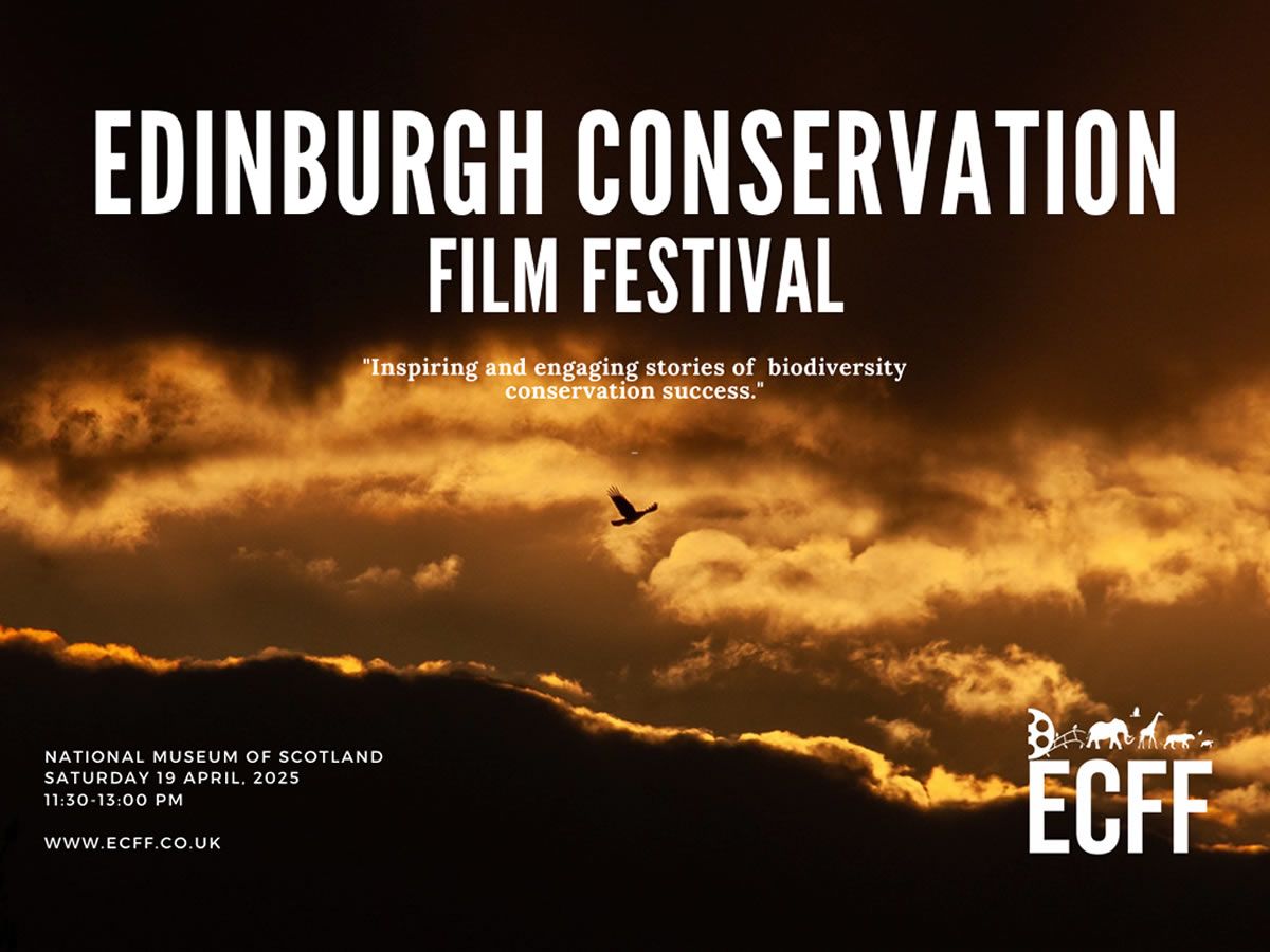 Events In Edinburgh This Weekend What s On Edinburgh Events In Edinburgh This Weekend What s On Edinburgh