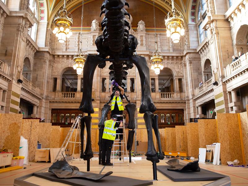 Come and see Dippy, the iconic dinosaur, taking shape at Kelvingrove