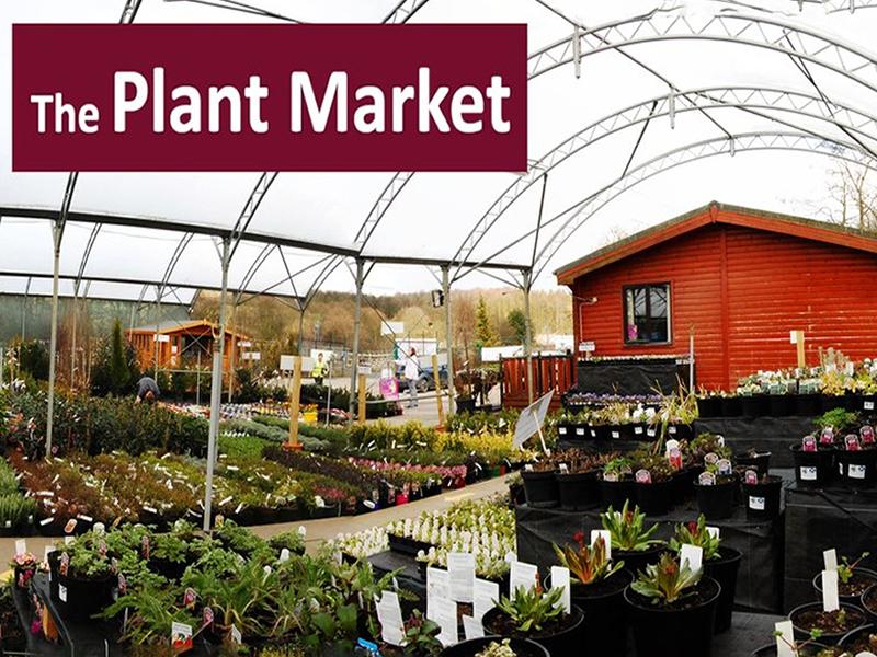 The Plant Market