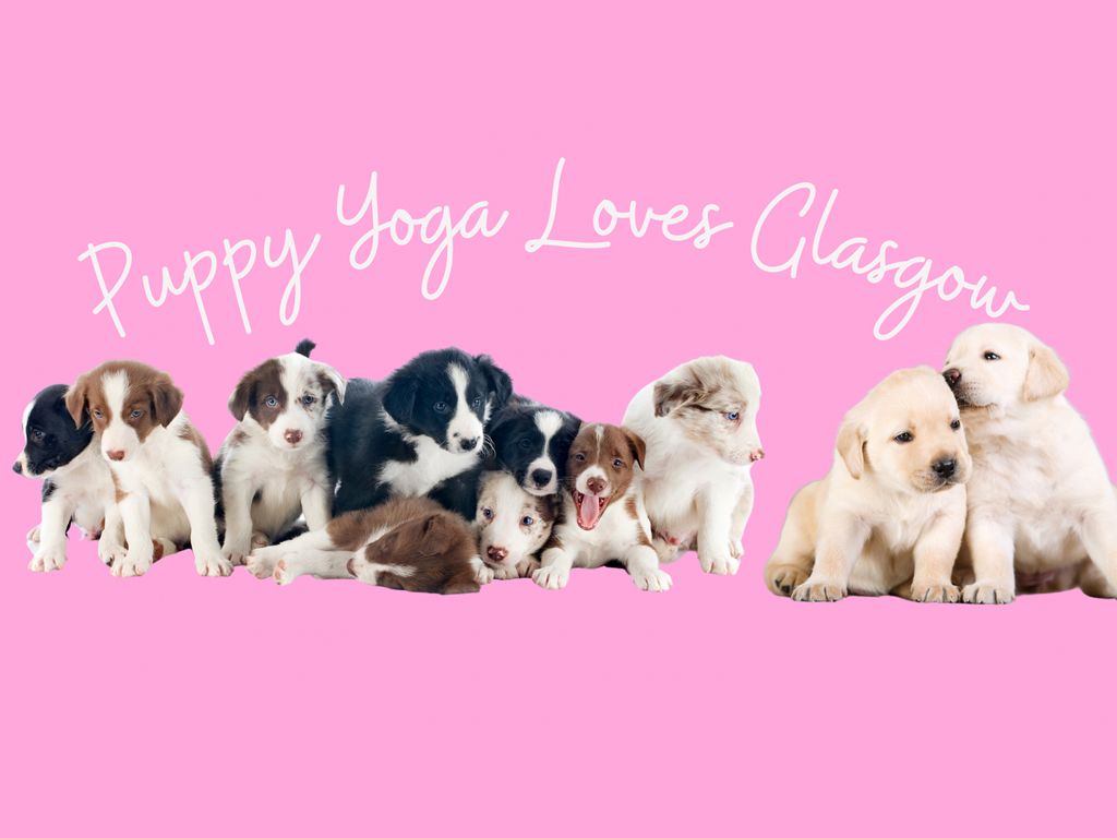 Puppy Yoga Loves Glasgow