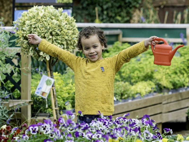 Dobbies are hosting free workshops for children this March!