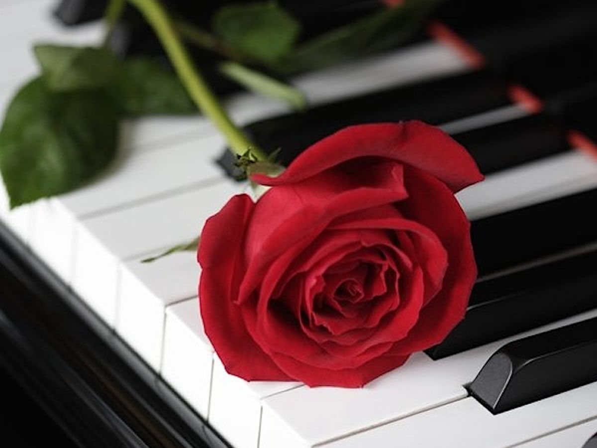 Valentines Chopin & Champagne