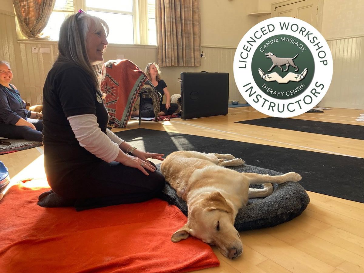 Beginners Guide to Canine Massage