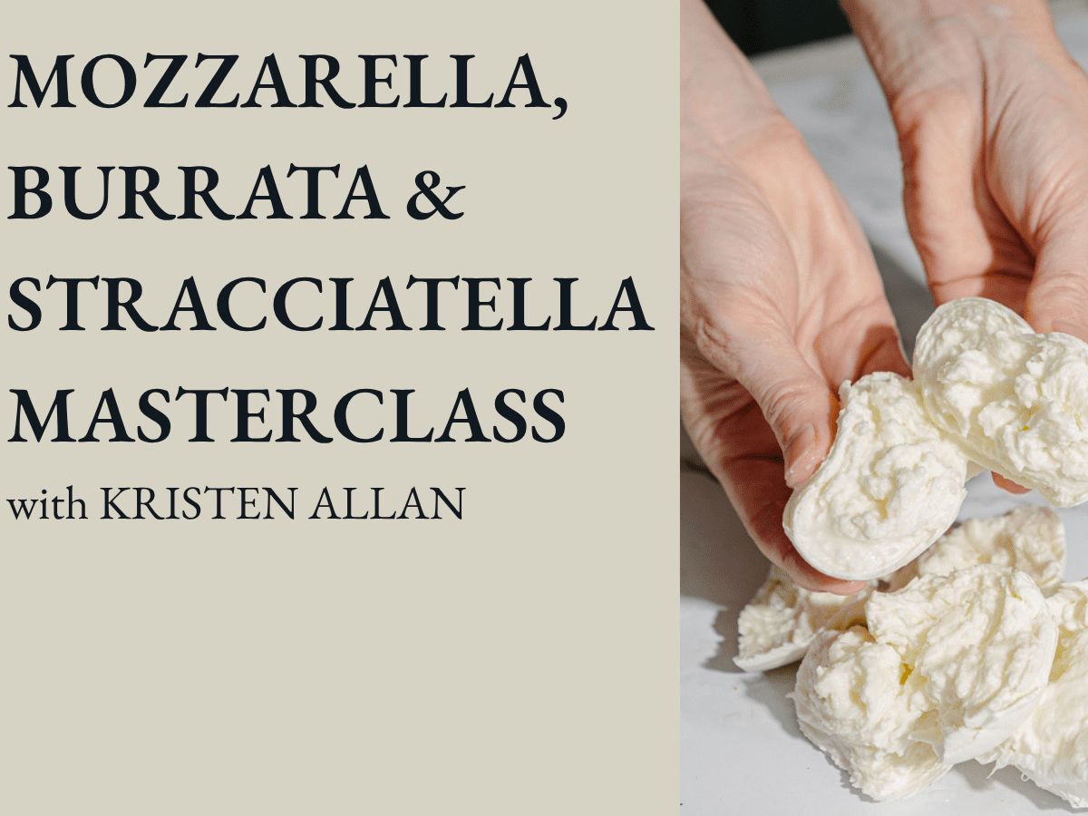 Mozzarella, Burrata & Stracciatella Masterclass with Kristen Allan