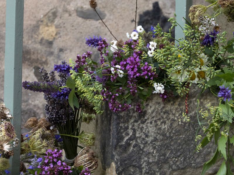 Physic Garden Flowers: Flower arranging workshop