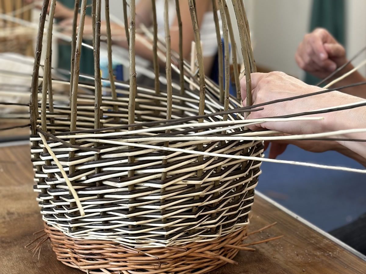 Willow Weaving Basketry