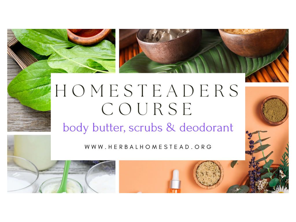 Homesteaders Course - Body Butter, Scrubs & Deodorant