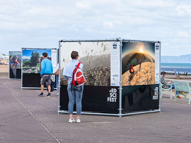 Edinburgh Science Festival Wild Scotland, Portobello What's On Edinburgh