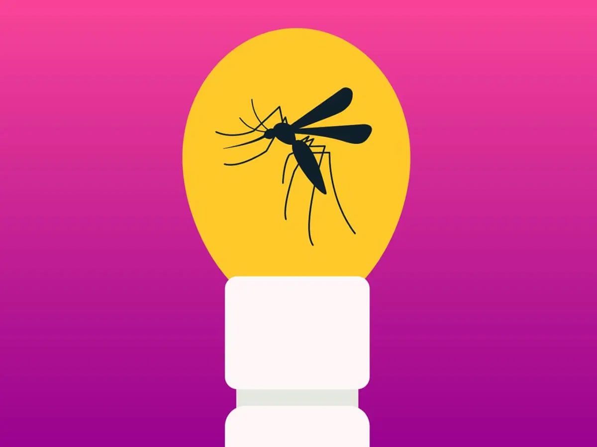 Planetarium Lates: Jurassic Park