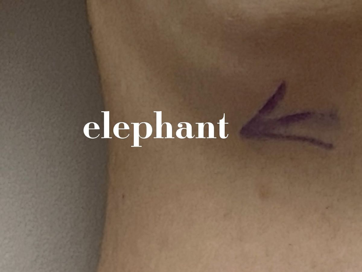 Gillian Shirreffs in conversation with Elissa Soave as she launches Elephant