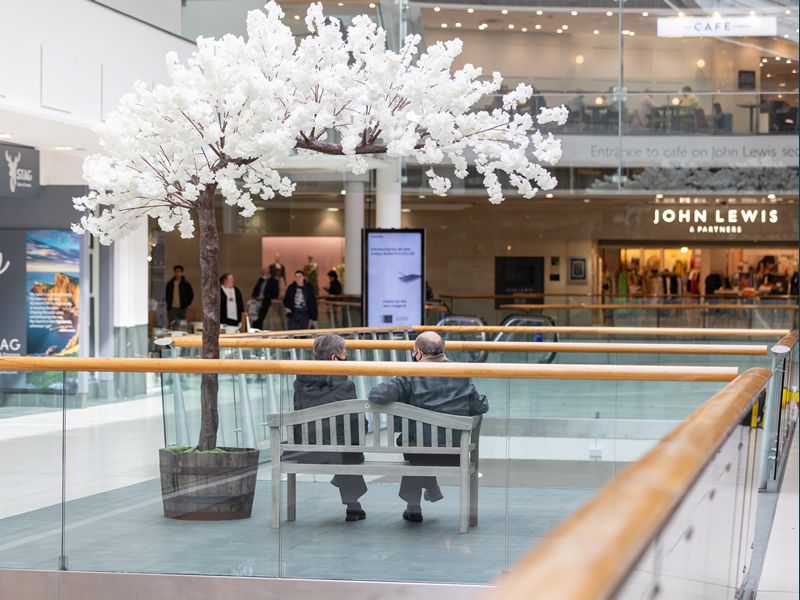 Buchanan Galleries in Full Bloom