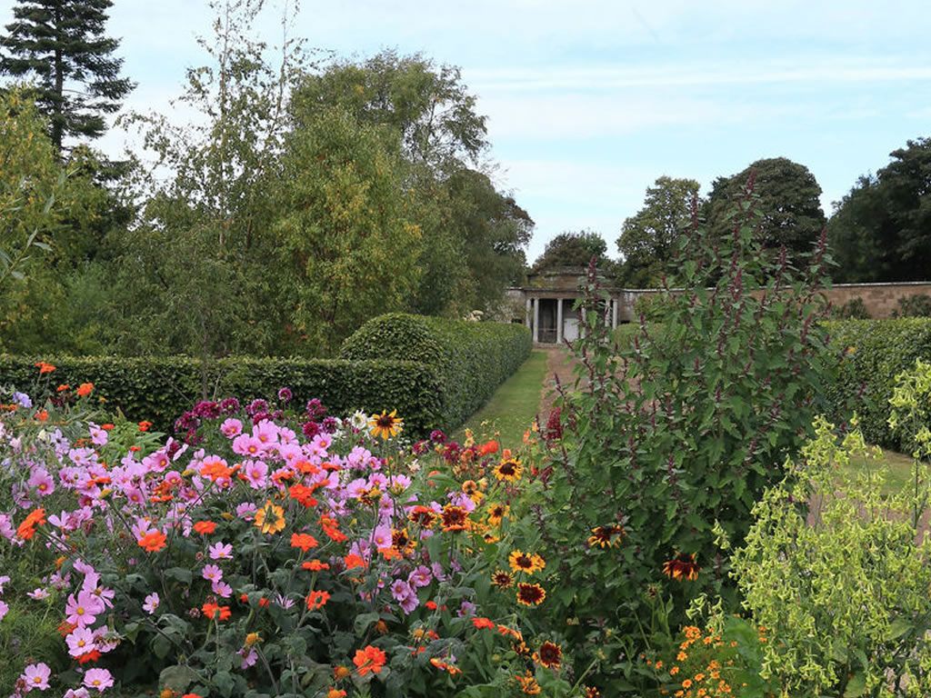 Scotland’s Gardens Scheme Open Garden: Amisfield Walled Garden