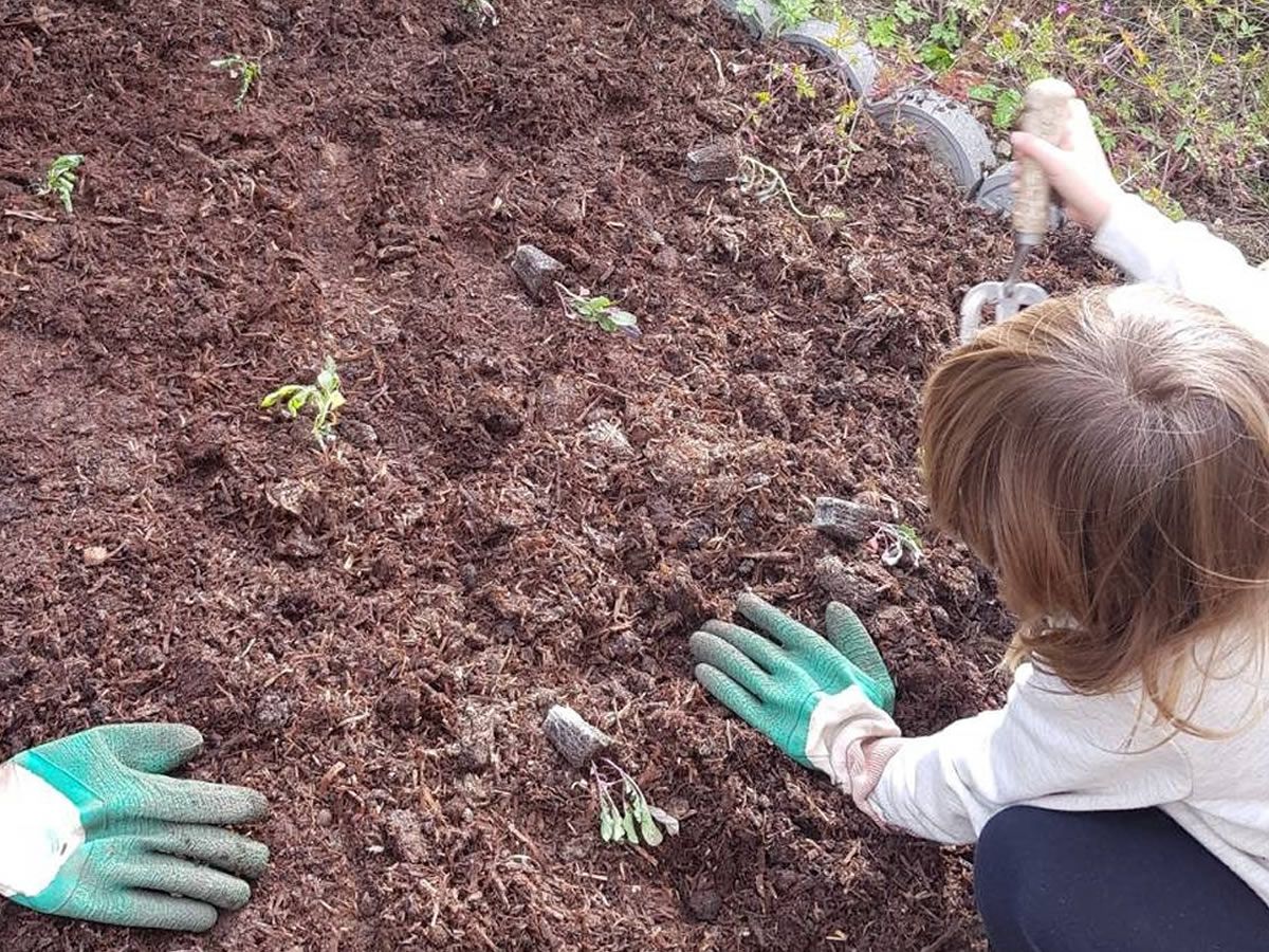 Composting for Beginners!